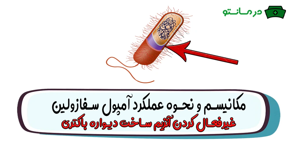 مکانیسم و نحوه عملکرد آمپول سفازولین