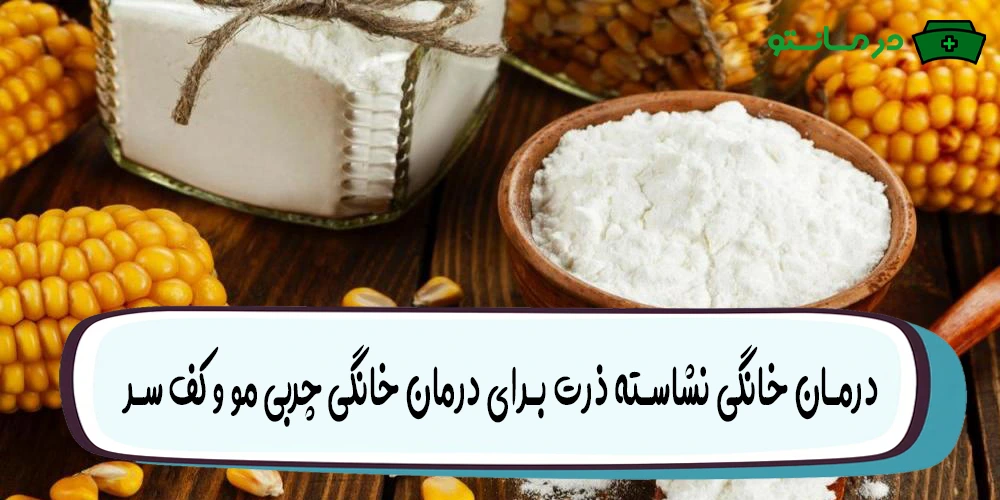 درمان خانگی نشاسته ذرت برای درمان خانگی چربی مو و کف سر