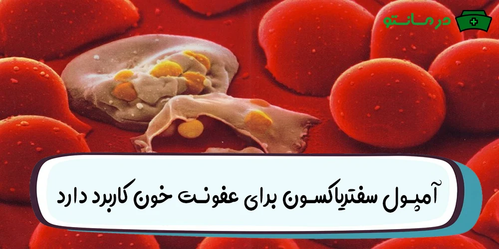 آمپول سفتریاکسون برای عفونت خون